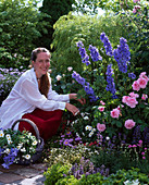 Frau schneidet Blumen für Strauss: Rose 'Gertrude Jekyll', Delphinium (Rittersporn)