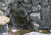 Mauer mit integrierten Brunnen