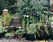 Wooden barrels with iris, Nymphaea