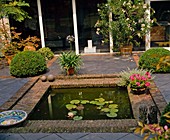 Atrium garden with architectural pond