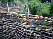 Wattle fence for the cottage garden
