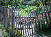 Fence with door for the cottage garden