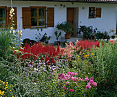 Front garden with colourful herbaceous border