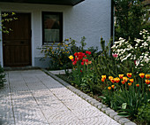 Front garden with tulips