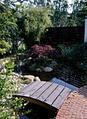 Garden view with wooden footbridge and Acer Palmatum