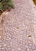 Path made of granite paving stones