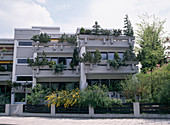 Concrete balcony with conifers