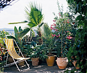 Mediterraner Balkon mit Palmen und Oleander
