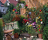 Vegetables, herbs and flowers