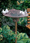 Birdbath