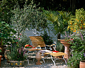 Mediterranean gravel terrace with lounger between Olea europaea (Olive)