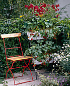 Plant stairs with strawberries