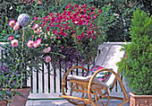 Balcony with dahlia, ornamental tobacco, fan flower, indoor cypress and rocking chair