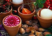 Tontöpfe mit Blüte von Dahlia (Dahlie), Kerze, Physalis (Lampion), Hagebutten und Nüsse