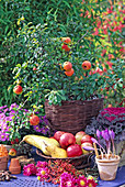 Autumn arrangement with Chaenomeles (ornamental quince), Brassica