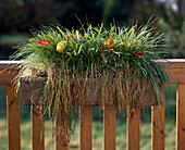 Grasses with autumn leaves