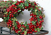 Wreath made of Rosa (rose hips) and Hedera (ivy)
