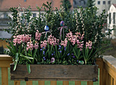 Balcony box with box branches