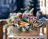 Fir branches and dried fruits
