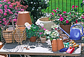 Summer flowers in pots, if pot is too small