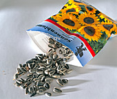 Seed bag with sunflower seeds