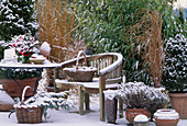 Snowed-in terrace with shrubs