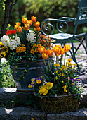 Arrangement mit Tulpen, Hyazinthen, Goldlack, Primeln und Stiefmütterchen