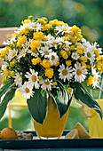 Trollius (Trollblume), Hosta (Funkienblätter)