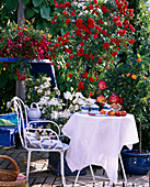 Terrasse mit Kletterrose 'Orange Meillandina',