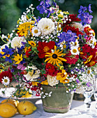 Dahlia hybr., Rudbeckia (coneflower), Delphinium (delphinium)