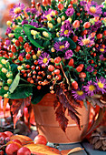 Bouquet with asters, fruiting plants of Hypericum (St. John's wort shrub)