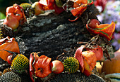 Kranz aus Physalis (Lampionblume), Rudbeckia (Sonnenhut)