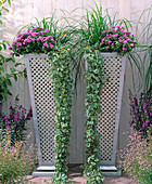 Vasenförmige moderne Töpfe aus Zink-Blech bepflanzt