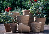 Winterproof clay pots from Poland for potted plants