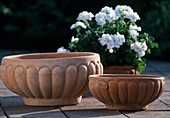 Winterproof clay pots modern form for potted plants