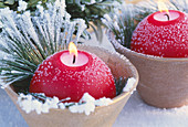 Candles in pots with pine branches