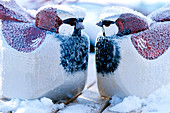 Painted wooden birds with hoarfrost