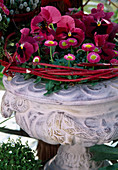 Clay goblet with Bellis perennis (daisy), Viola