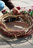 Frühlingsarrangement mit Viola 'Fama rot' und Bellis