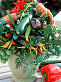 Gemüsestrauß: Tomaten, Zucchini, Gurken, Paprika, Lorbeer,