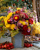 Dendranthema (Herbstchrysantheme), Helichrysum (Strohblume), Astern, Gräser