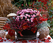 Iron bowl with Dendranthema autumn chrysanthemum, Calluna vulgaris broom heath