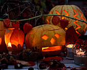 Halloween: Ausgehöhlte Kürbisse