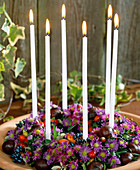 Herbstkranz aus Aster-Hybr. (Herbstastern, Rosa) Hagebutten, Kerzen