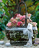 Iron basket filled with moss Gypsophila (baby's breath)