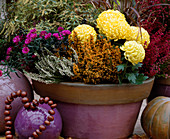 Bowl with Calluna (broom heather), Aster, Erica, Dendranthema (ball chrysanthemum)