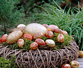 Willow branches wreath filled with moss and ostrich eggs