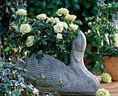 Cement swan with Rosa chinensis (pot rose)