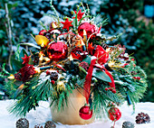 Christmas bouquet with fairy lights and snow, Pinus (silk pine), Nobilisz