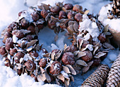 Chestnut wreath in the snow